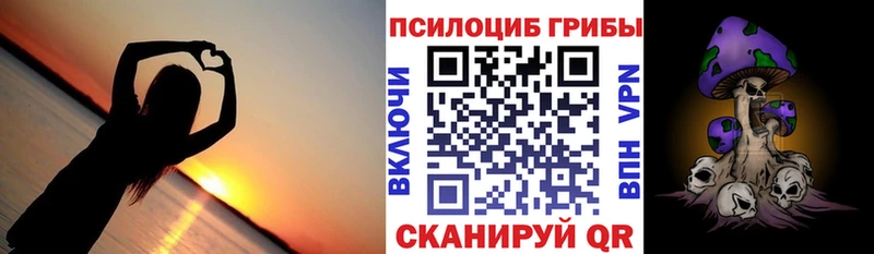 Купить  Зерноград  Псилоцибиновые грибы прущие грибы 